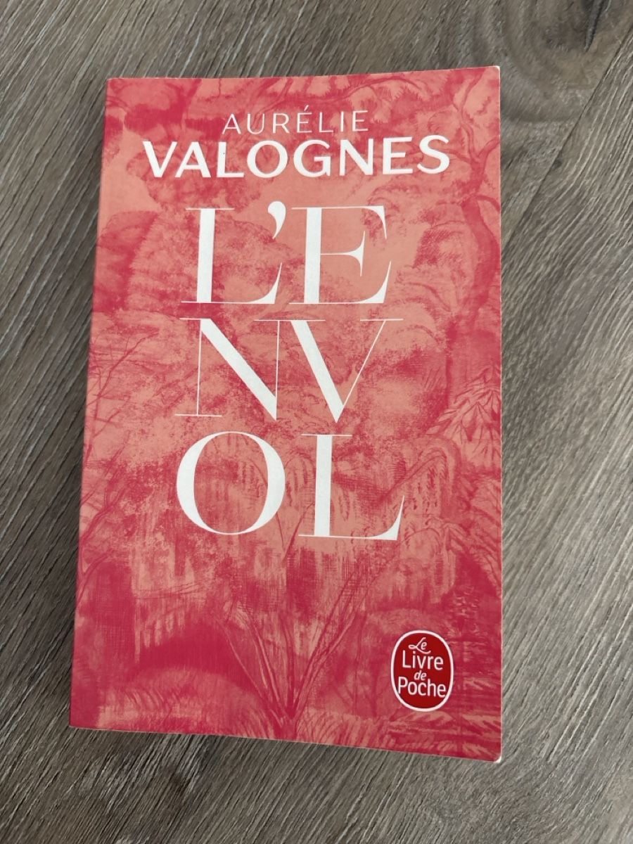 Livres: Aurélie Valognes- L’envol – D'occasion à Baden par frb_2cjk
