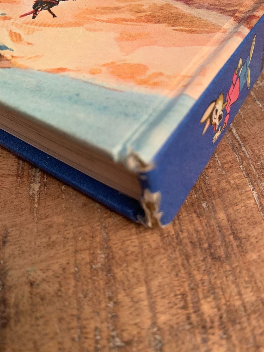 Libri: Walt Disneys Wunderbare Welt Abendteuer – Usato da Regensdorf venduto da Spyke55 6