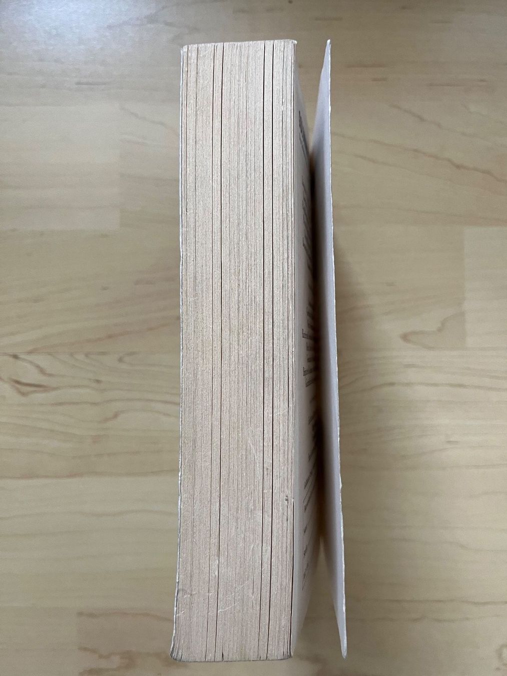 Libri: Dead Man Walking - Sein letzter Gang – Usato da Zürich venduto da Gurkis 2