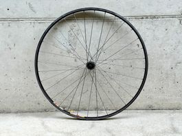 Campagnolo  FIR EL 202 Clincher Hinterrad 8speed ER