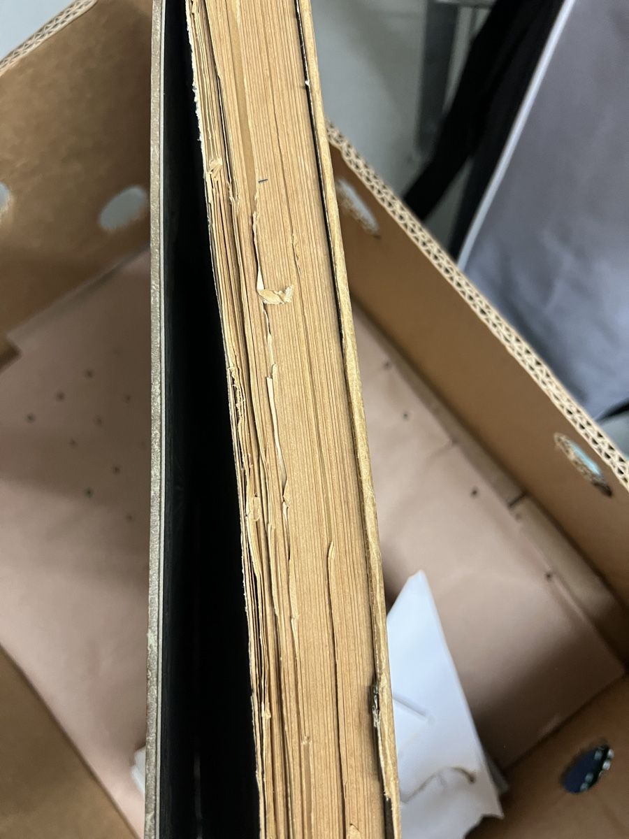 Libri: Katolische Bilder Bibel – Usato da Oensingen venduto da Chris_Odi 2