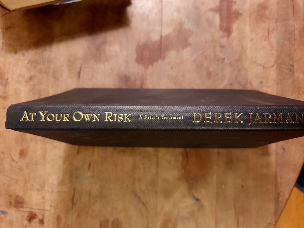 At Your Own risk - Derek Jarman (Gebraucht) in Zürich für CHF 5 – nur ...