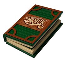 LEGO Pup-Up-Buch - NEU (21315)