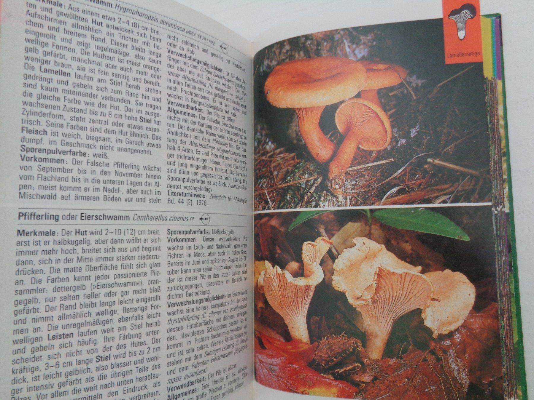 Libri: Pilze - die farbigen Naturführer – Usato da Chur venduto da Oregano1 3