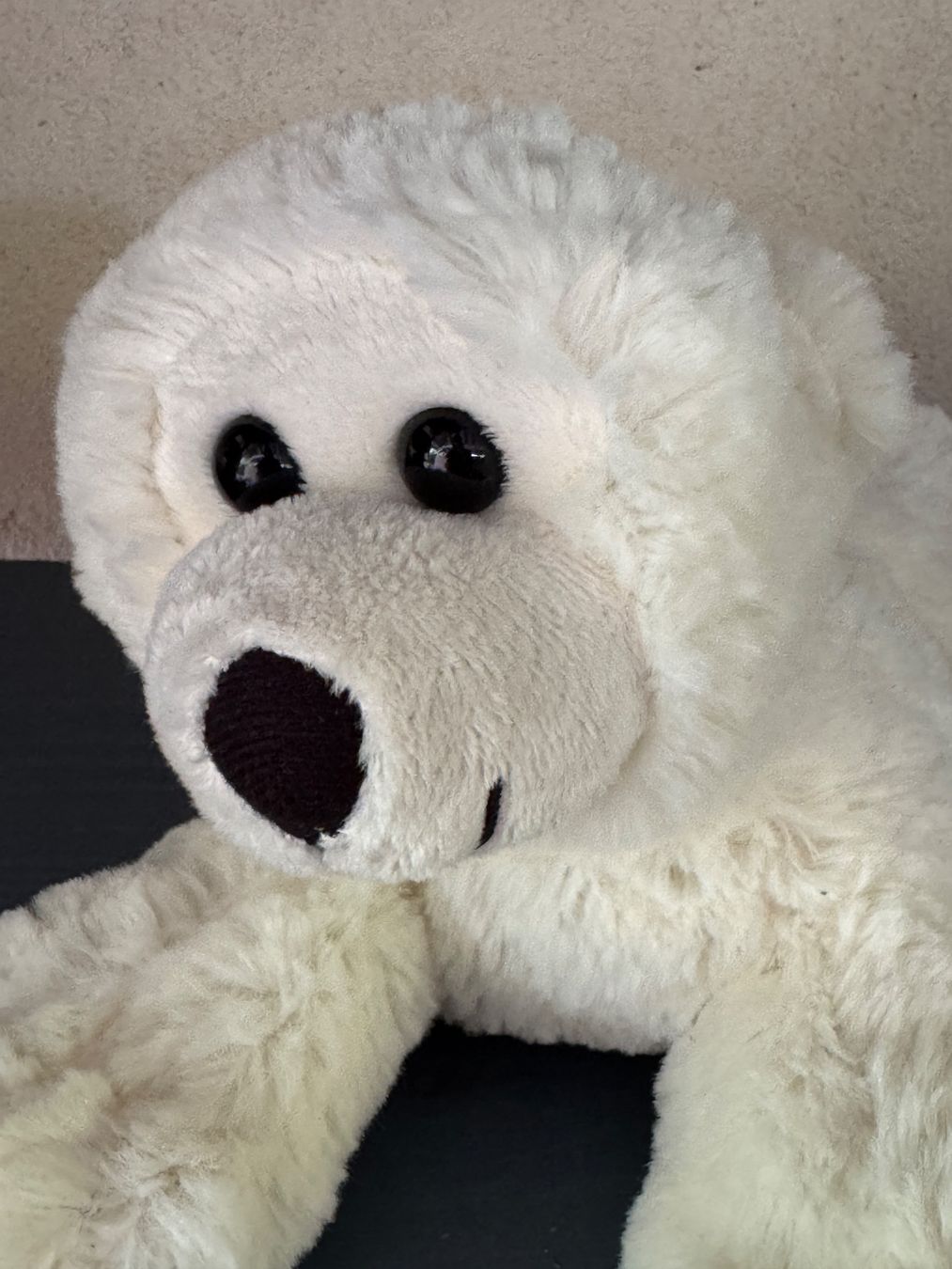 Giocattoli: Ours en peluche blanc – Nuovo (secondo la descrizione) da Jussy venduto da ali_6d7d 1