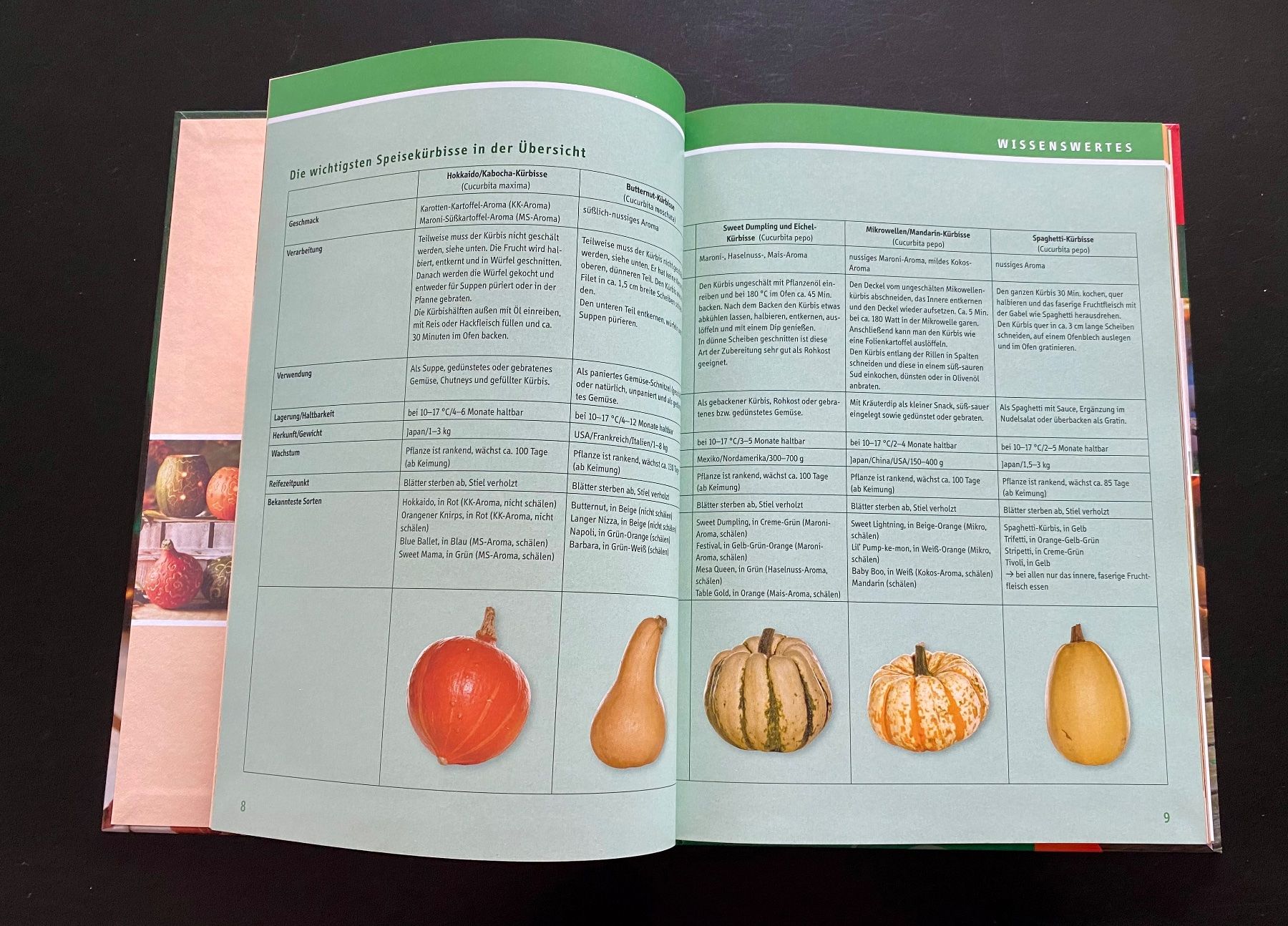 Bücher: Das grosse Kürbisbuch – Gebraucht aus Nussbaumen AG von schuba2000 2