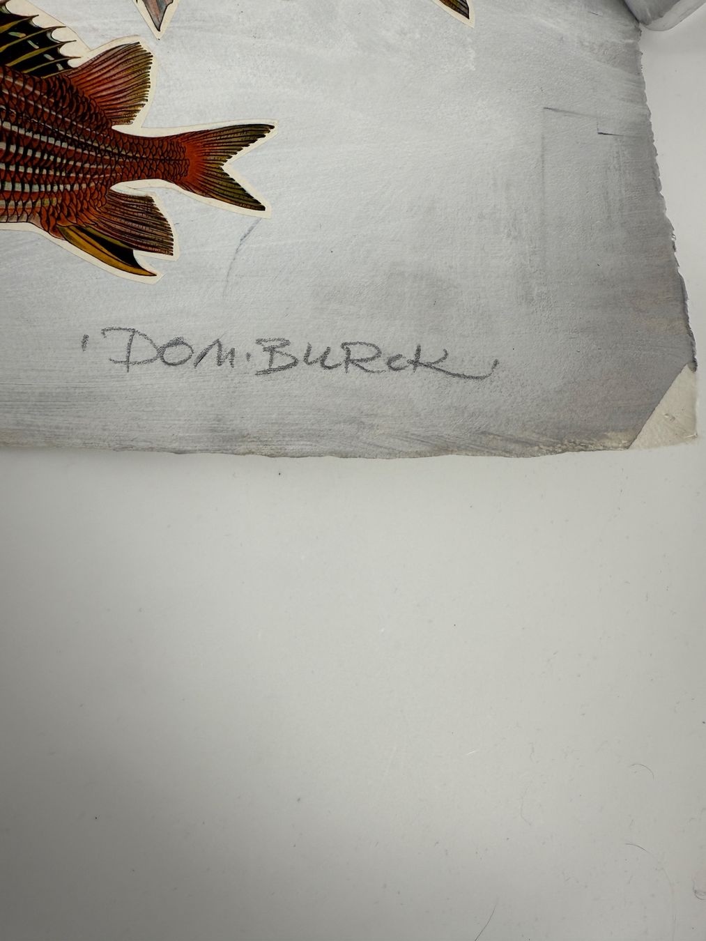 Dipinti: Fisch Gemälde/ Bild von Dom. Burck – Usato da Auenstein venduto da moin. 1
