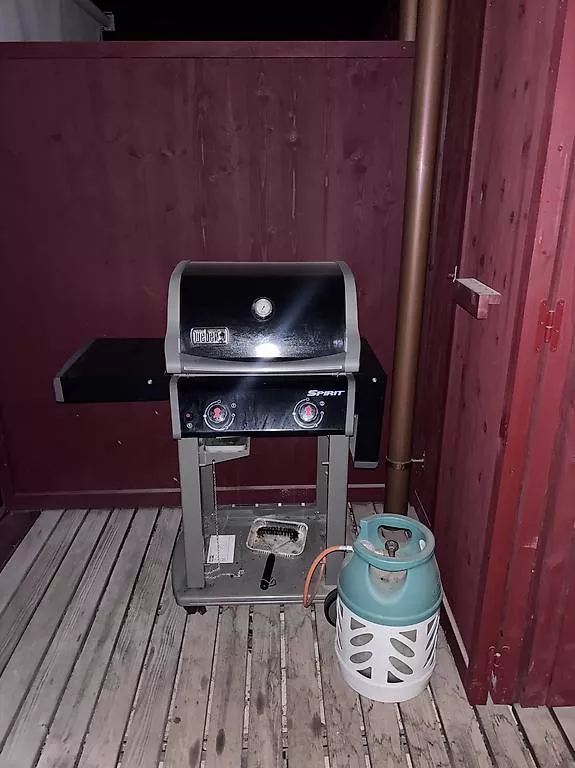Grills: Weber Grill – Gebraucht aus Zürich von rah_99cw