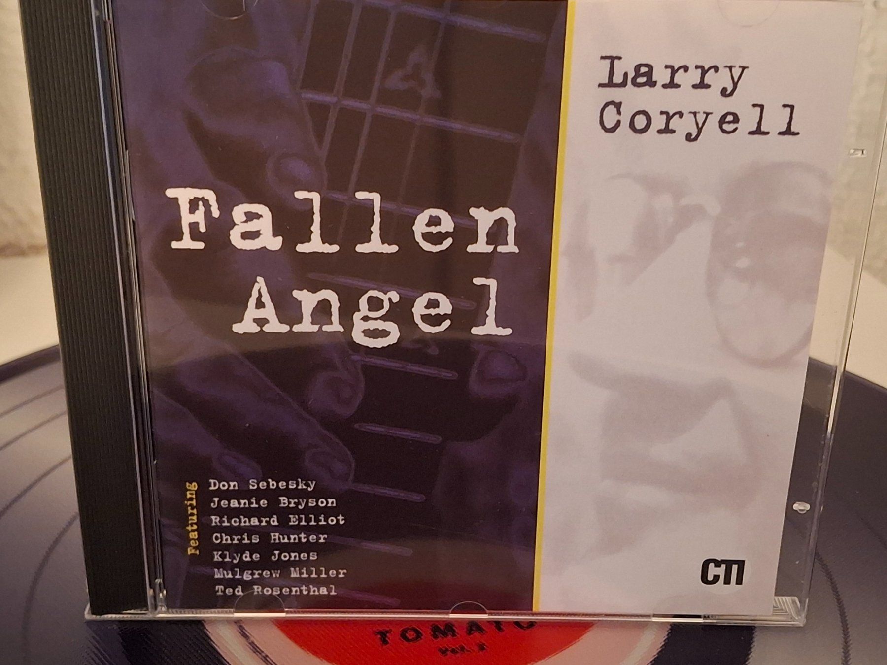 CD: CD Larry Coryell - Fallen Angel  - Jazz – Usato da Aarberg venduto da Jackup1
