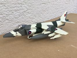 corgi harrier