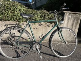 Fahrrad Bike 21-Gang Grün, fahrtüchtig mit kleinen Mängeln