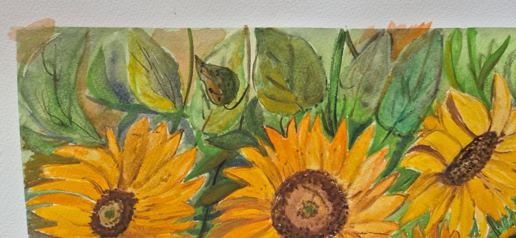 Dipinti: Watercolor sunflower – Nuovo e nell'imballaggio originale da Ebikon venduto da vij_fg72 3