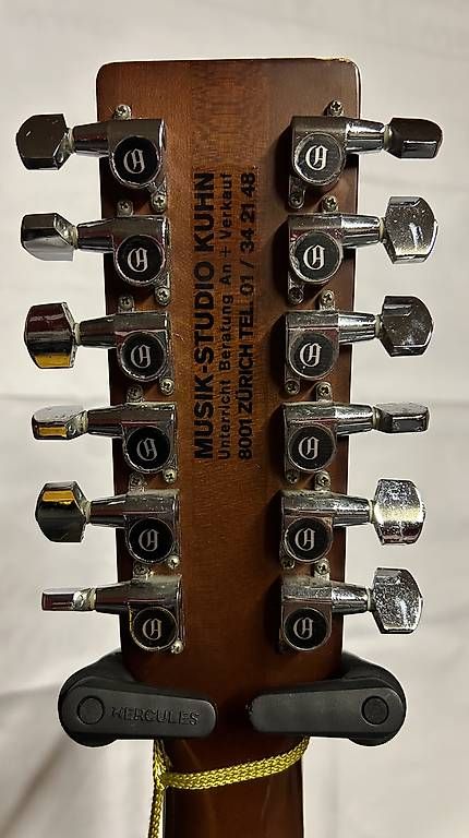 Strumenti musicali: fairytale 12-string western guitar – Usato da Basel venduto da mentaltrap 3