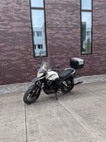 MOTRON X Nord 125