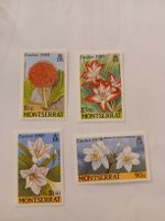 Timbres Montserrat, Pâques 1989, Collection Fleurs! (52)