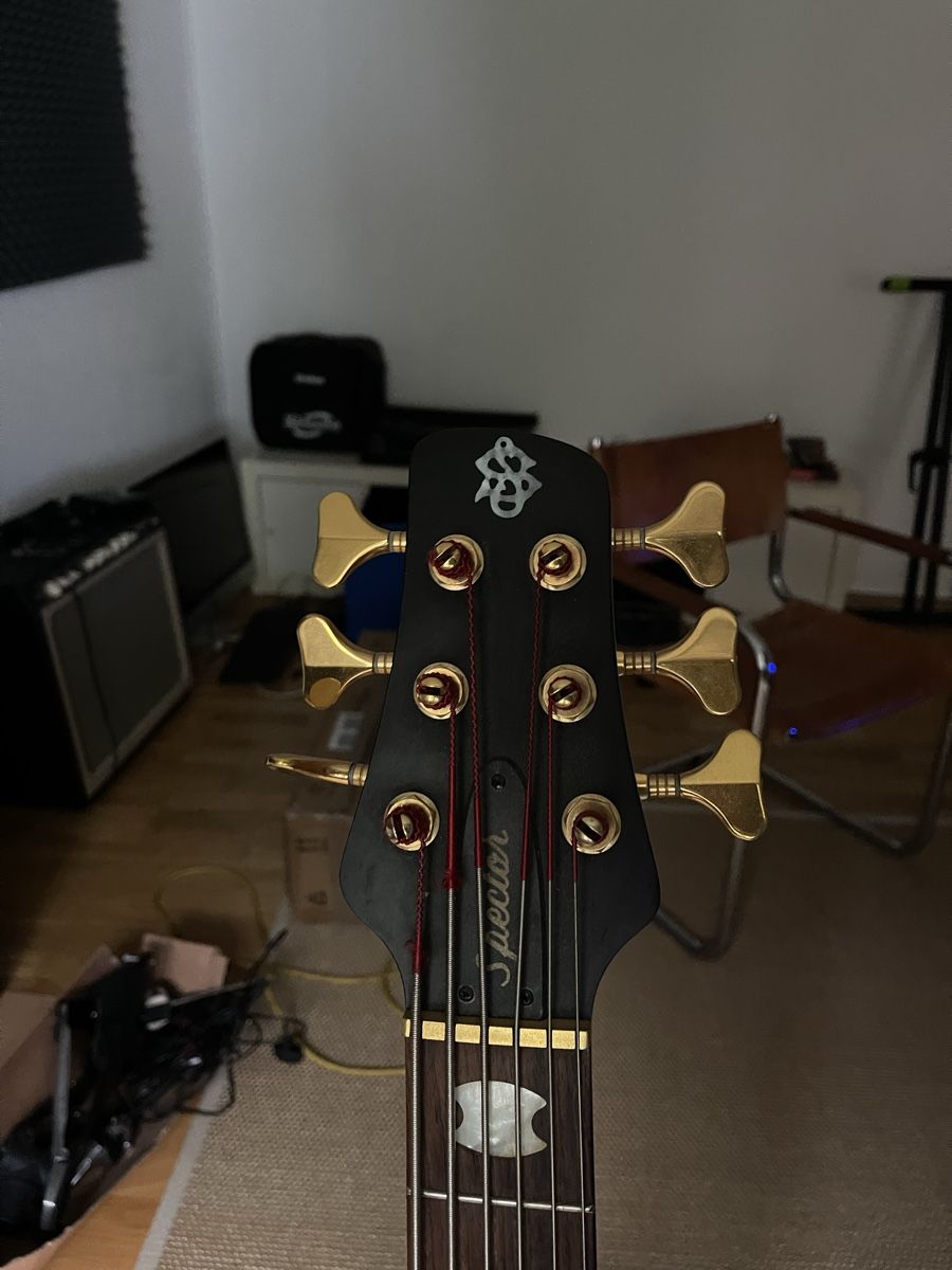 Strumenti musicali: Spector 6-String Bass – Usato da Mühlethal venduto da leandrawolf 2
