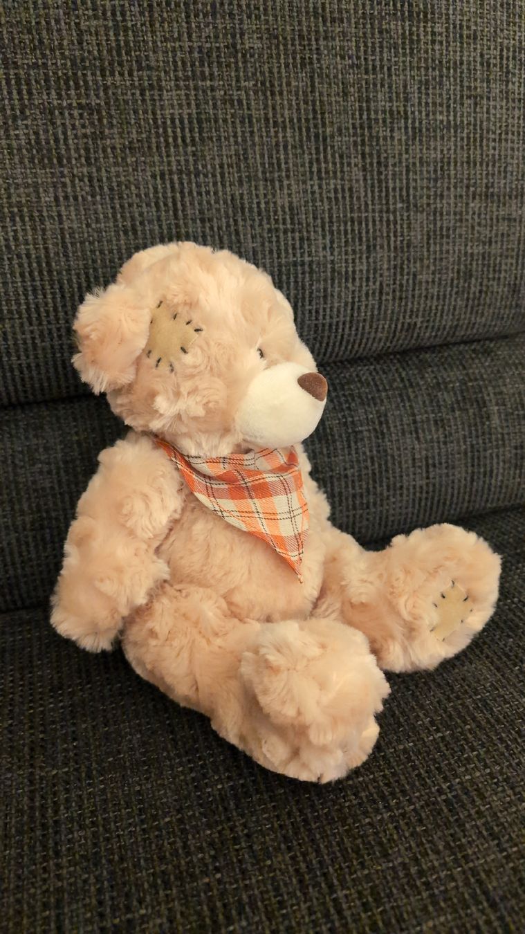 Giocattoli: Teddybär von Kuschelwuschel 19 cm – Nuovo (secondo la descrizione) da Rüfenach AG venduto da sen_vbz6 2