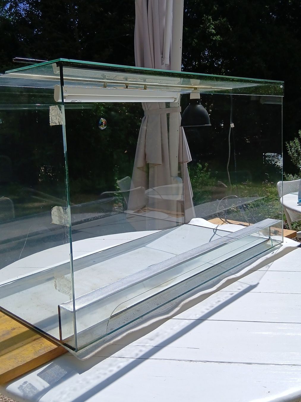 Terrarium: Terrarium – Gebraucht aus Uttigen von gur_l6vy 2
