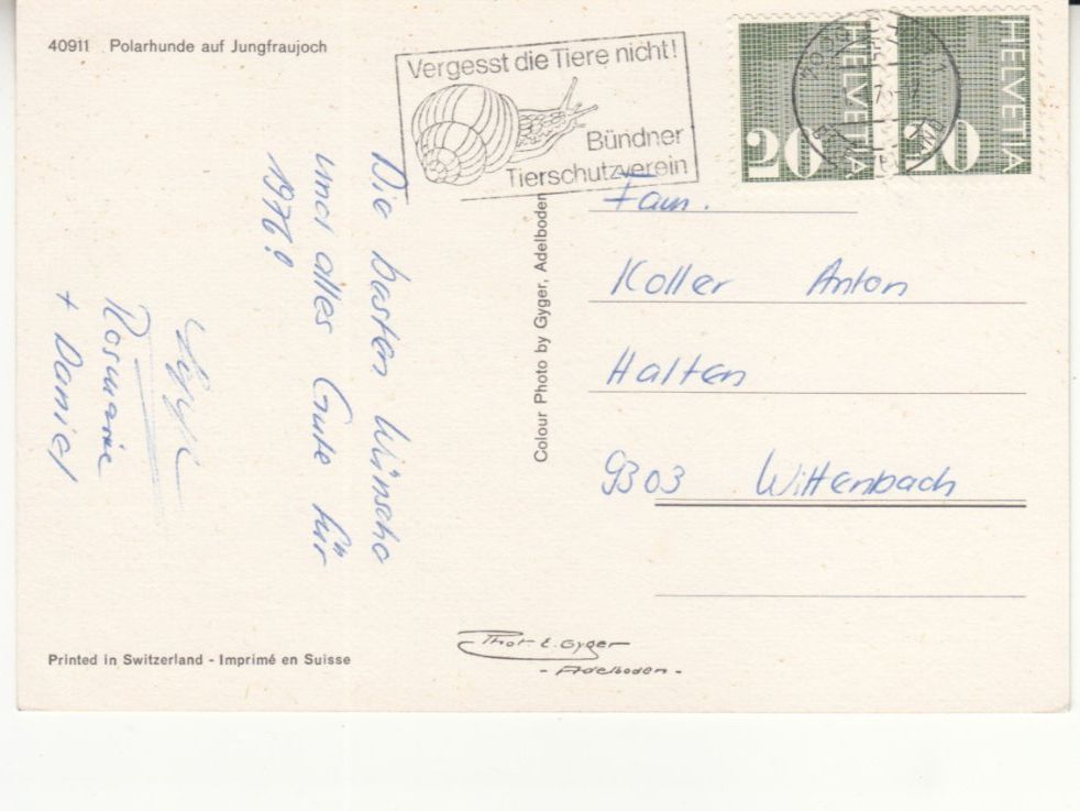 Cartoline postali: Jungfraujoch Polarhunde 1971 – Usato da Bürglen TG venduto da StampGraf 1