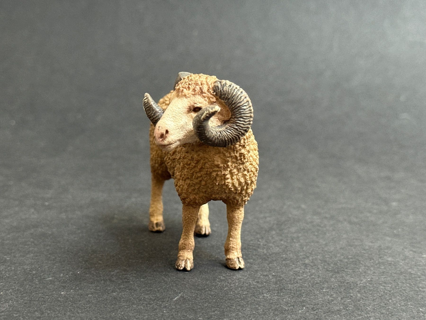 Schleich Statuette: Schleich Widder 13726 Schaf Schafbock – Usato da Ennetbaden venduto da mapa05 3