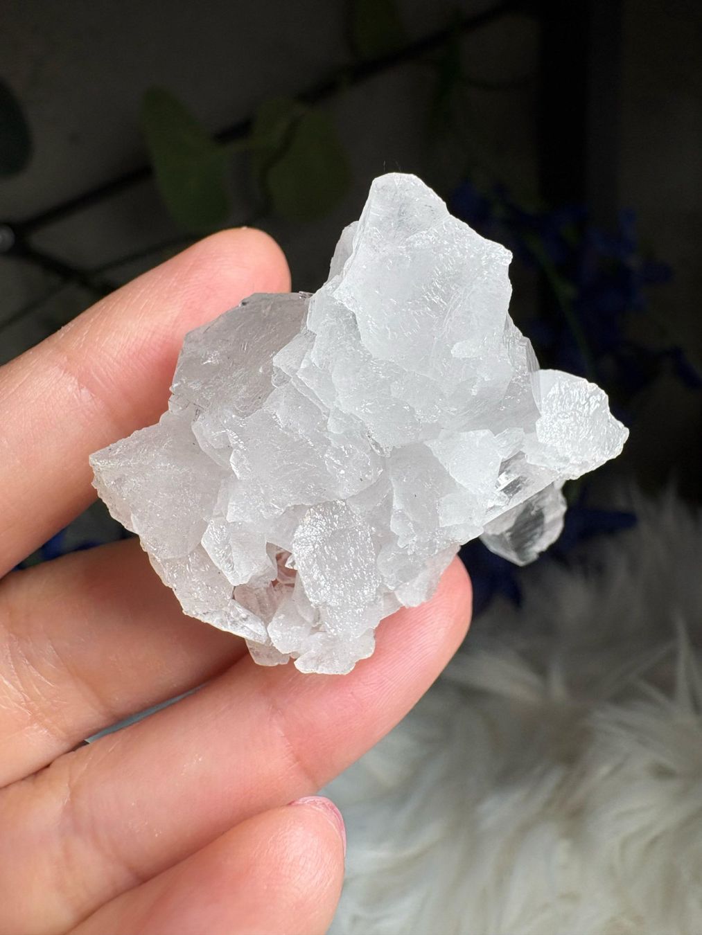 Minerali & Pietre curative: Kolumbianischer Lemurian-Quarz-Cluster – Nuovo (secondo la descrizione) da Neuheim venduto da m.hald 3