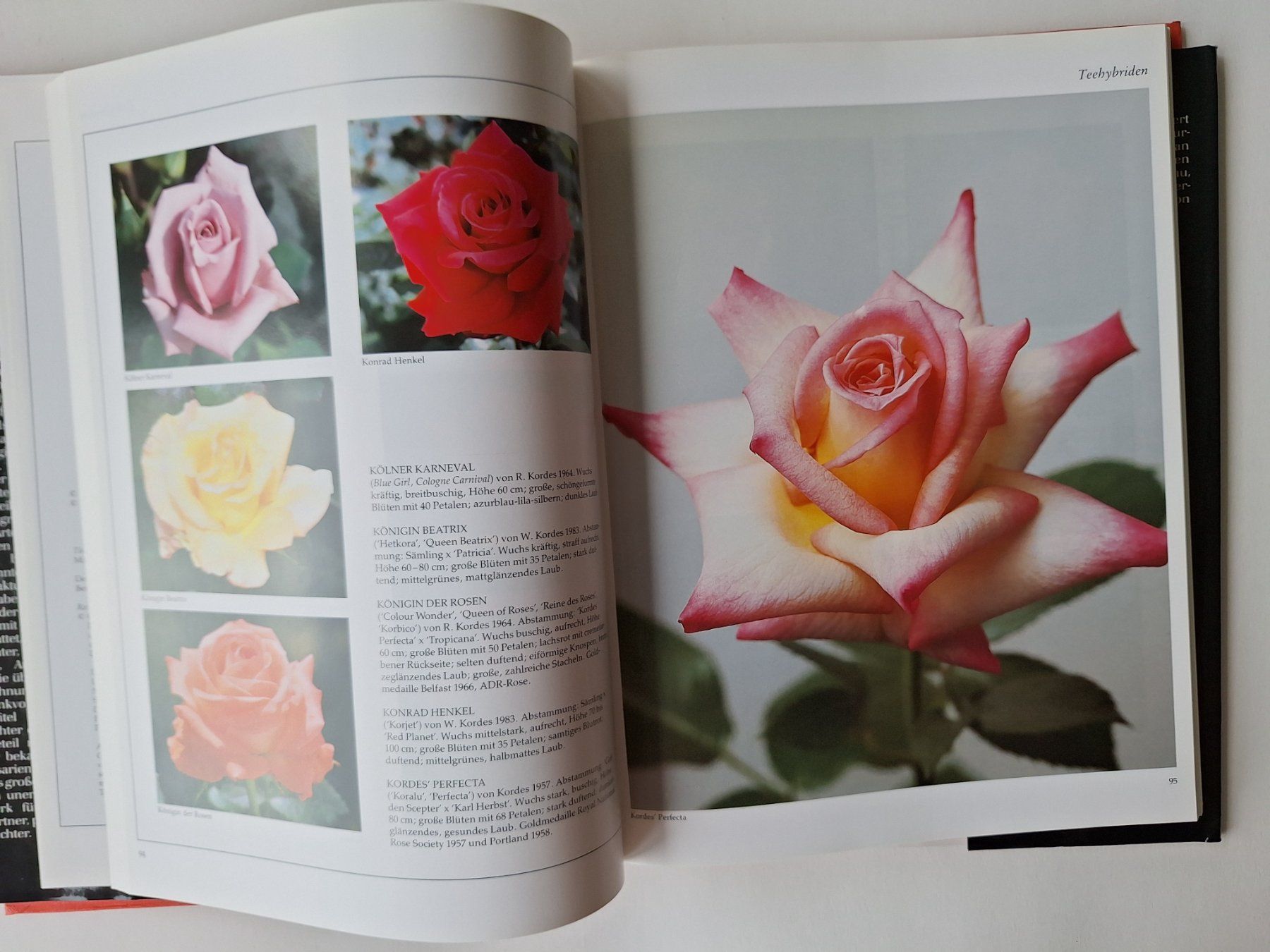 Libri: Das grosse Buch der tausend Rosen – Usato da Zürich venduto da t24_de 5