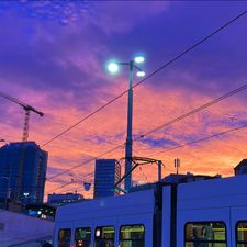 Profile image of Mar_g782