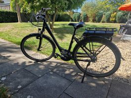 HERCULES Roberta R7 Coaster E-Bike