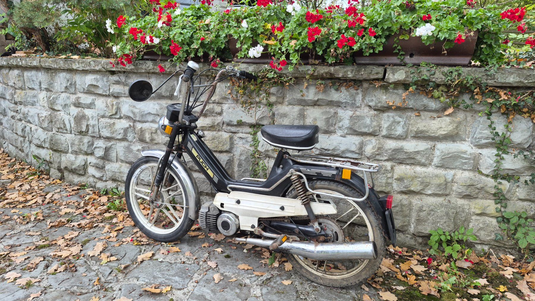Puch Ciclomotori: Puch Supermaxi LG1 – Difettoso da Buhwil venduto da Donron0 2