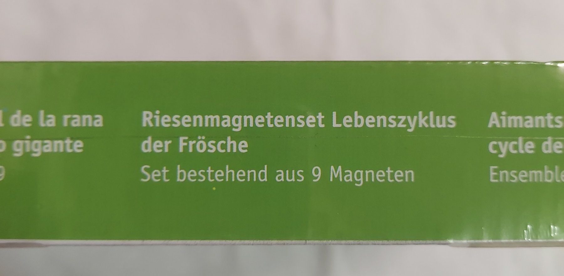 Calamite: Neues Magnet Set Froschzyklus von Learning Ressources – Nuovo e nell'imballaggio originale da Basel venduto da Sinibini86 2