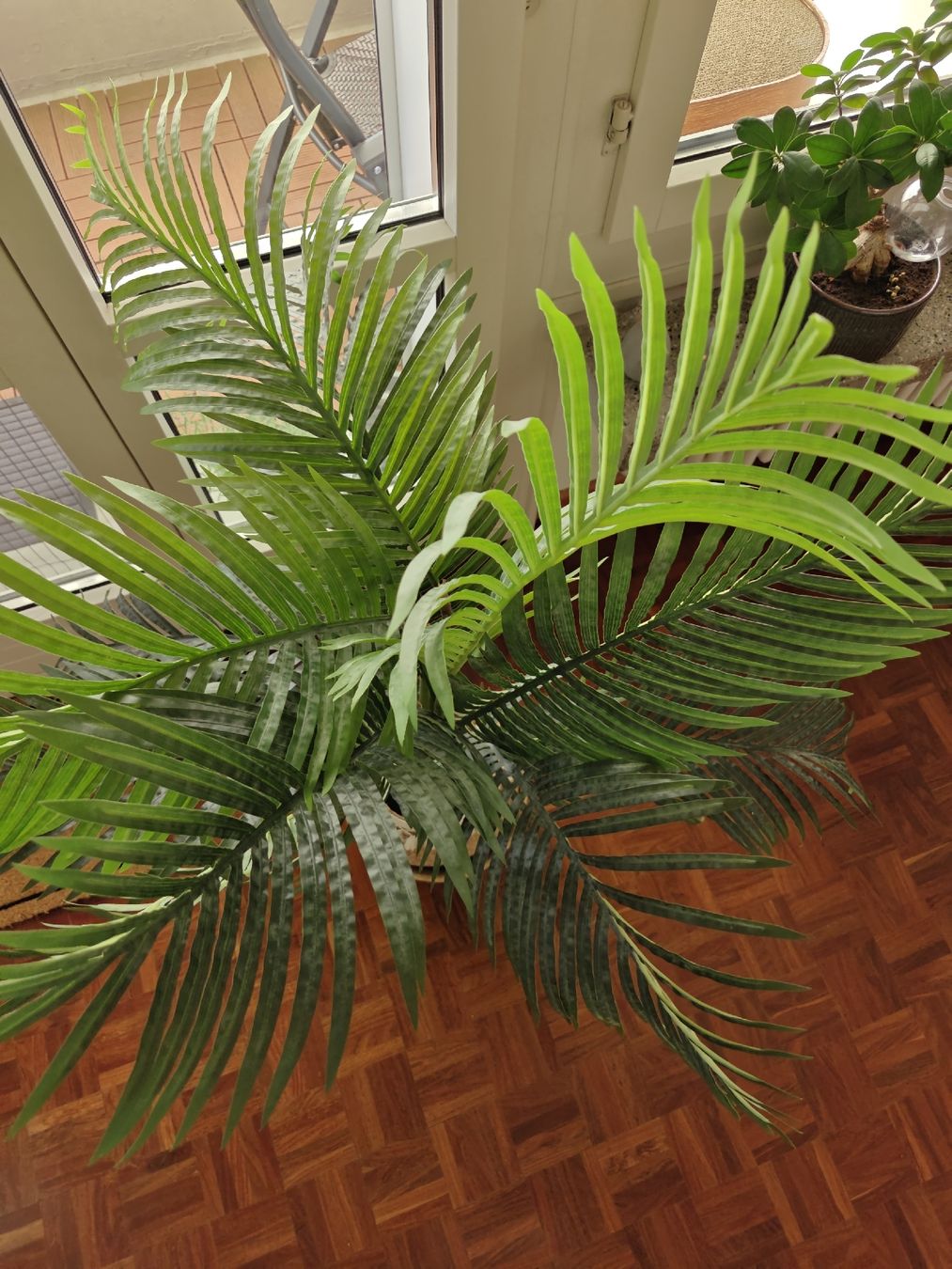 Pflanzen & Samen: Künstliche Palme mit Übertopf – Neu (gemäss Beschreibung) aus Zürich von reb_5rb6 1