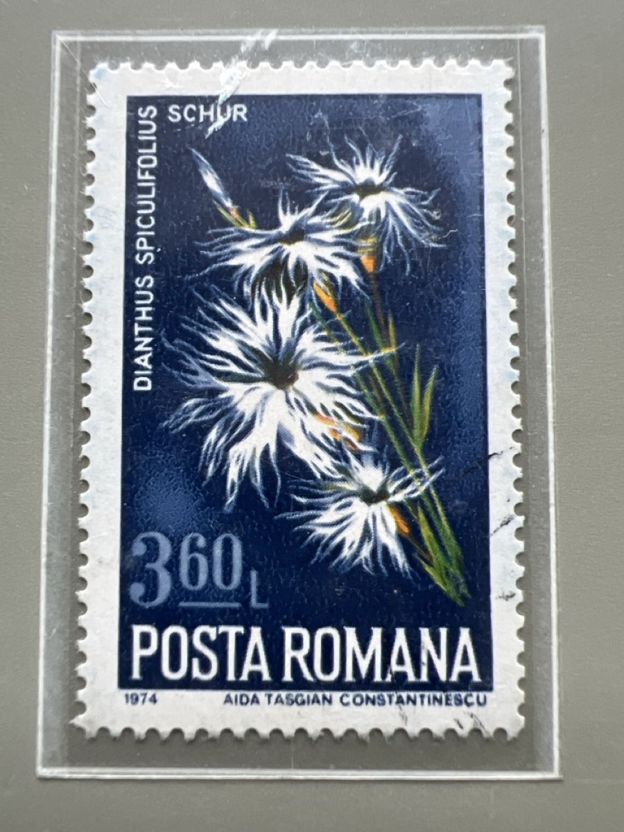 Tutti i francobolli: Briefmarken Rumänien  – Usato da Glattbrugg venduto da Artos67 6