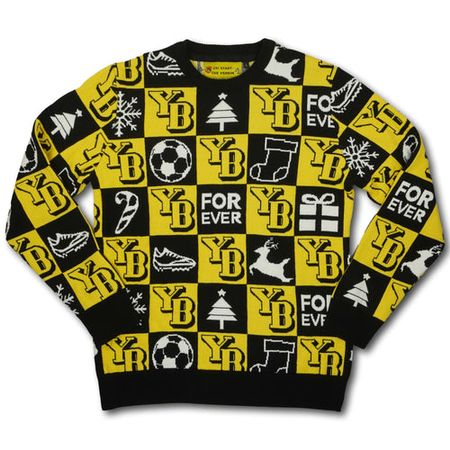 BSC Young Boys fan L BSC Young Boys