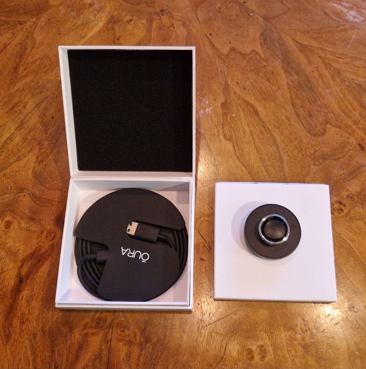 Oura Ring Gen3 Heritage Silver US10 | Kaufen auf Ricardo