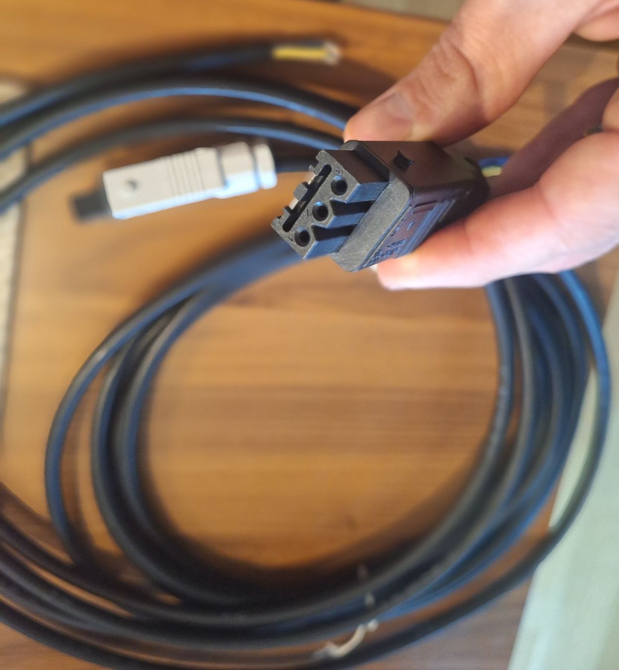 Cavi: Hirschmann Stecker mit Kabel, 2 Stk. – Nuovo (secondo la descrizione) da Birmensdorf ZH venduto da zotor 6