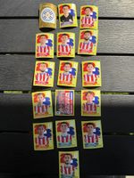 Panini FIFA World Cup 2026 Sticker, Diverse Paraguay