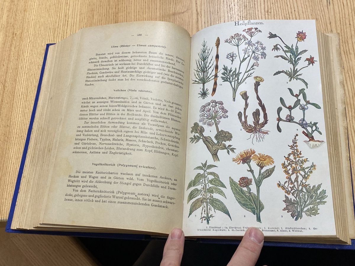 Libri: Selbsthilfe Gesundheitsbuch um 1900 – Usato da Mosnang venduto da Goldwasser 9