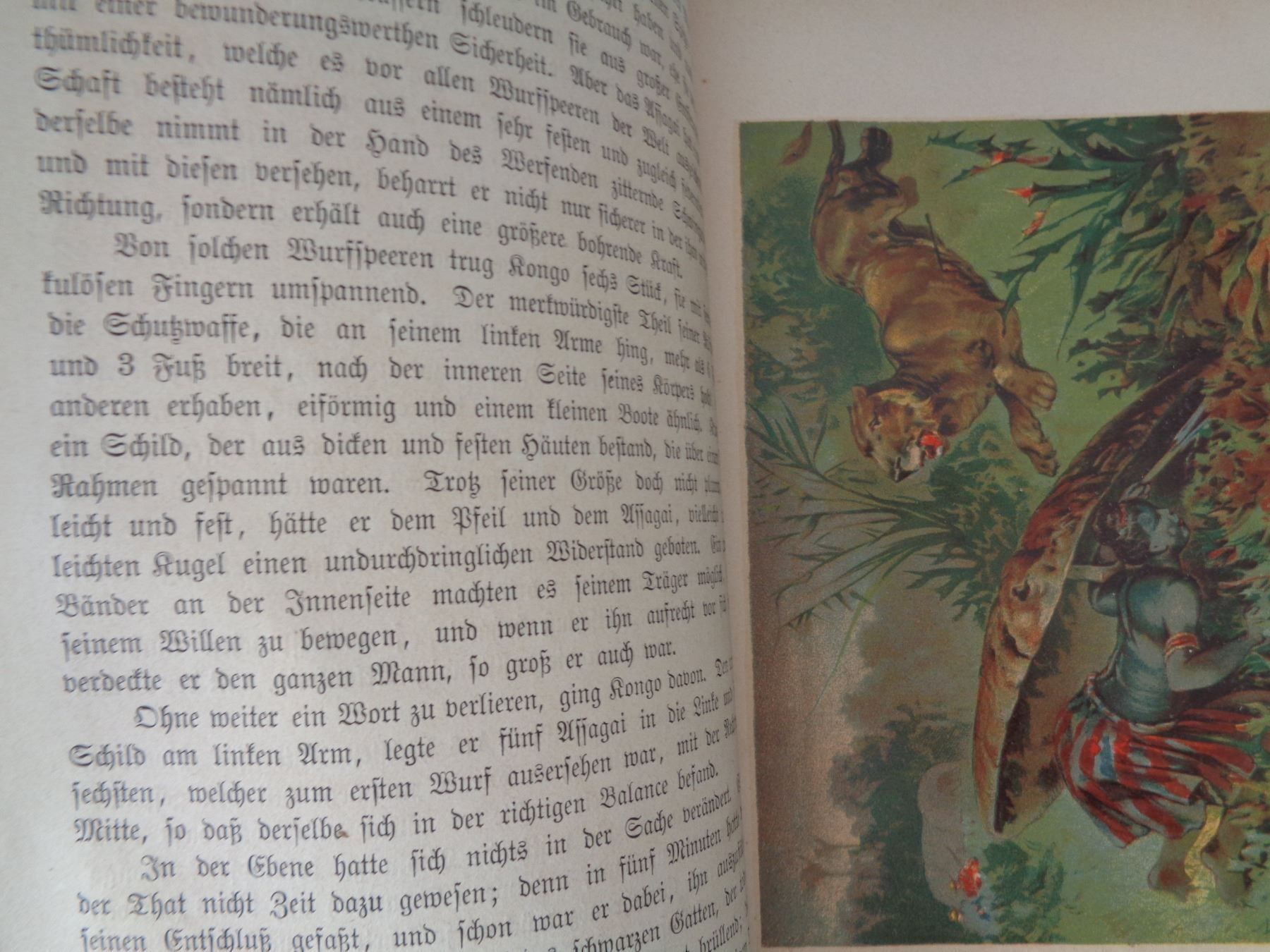 Libri: Der Jugendgarten Ottilie Wildermuth 1878 – Usato da Chur venduto da omonia 7