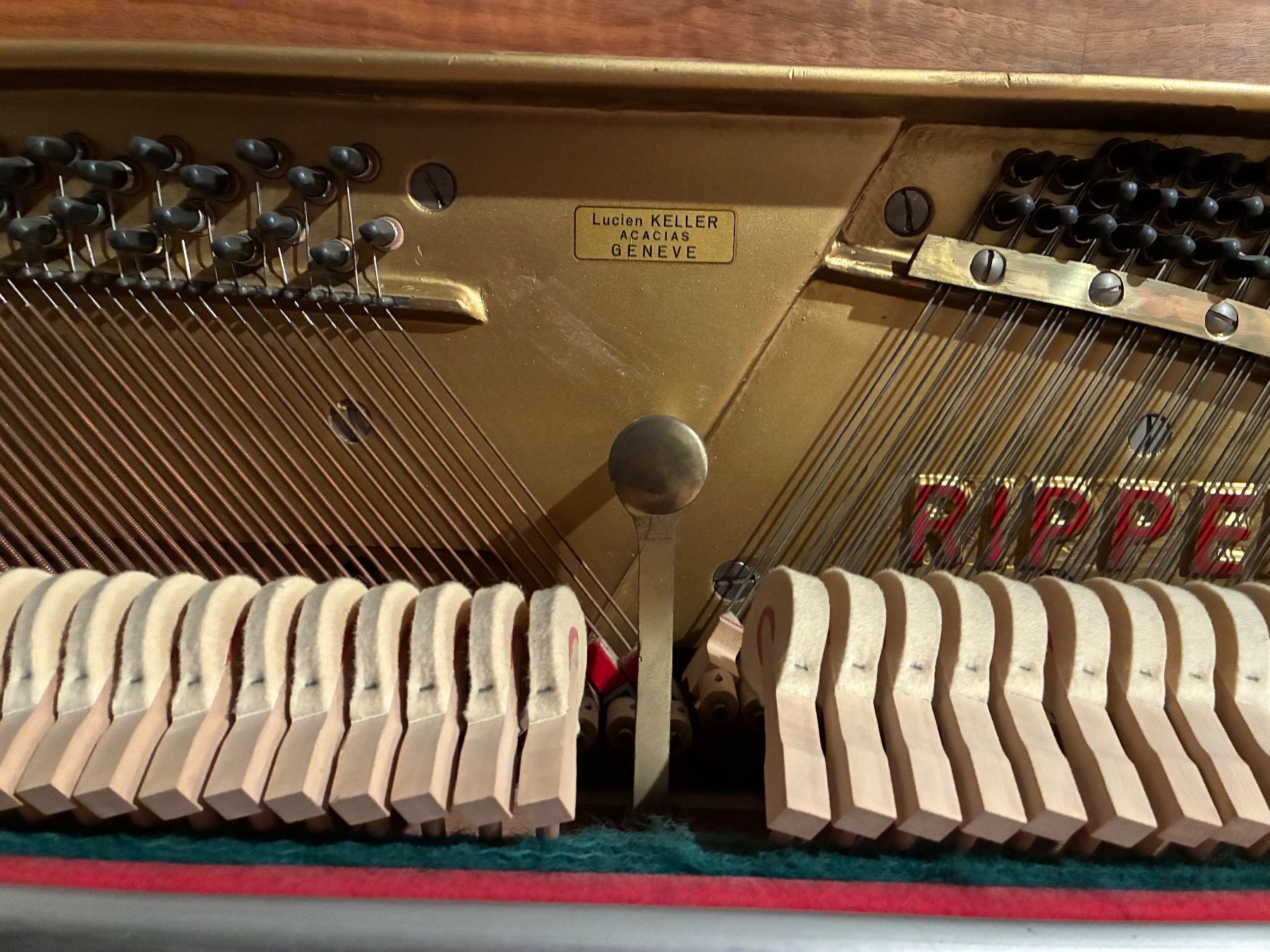 Strumenti musicali: Piano Rippen Carillon 1958 – Usato da St-Prex venduto da Nexu5 3