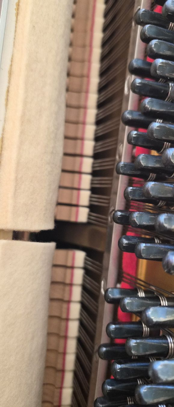 Yamaha Musikinstrumente: Piano Yamaha  – Gebraucht aus Boudry von bateauxx 2