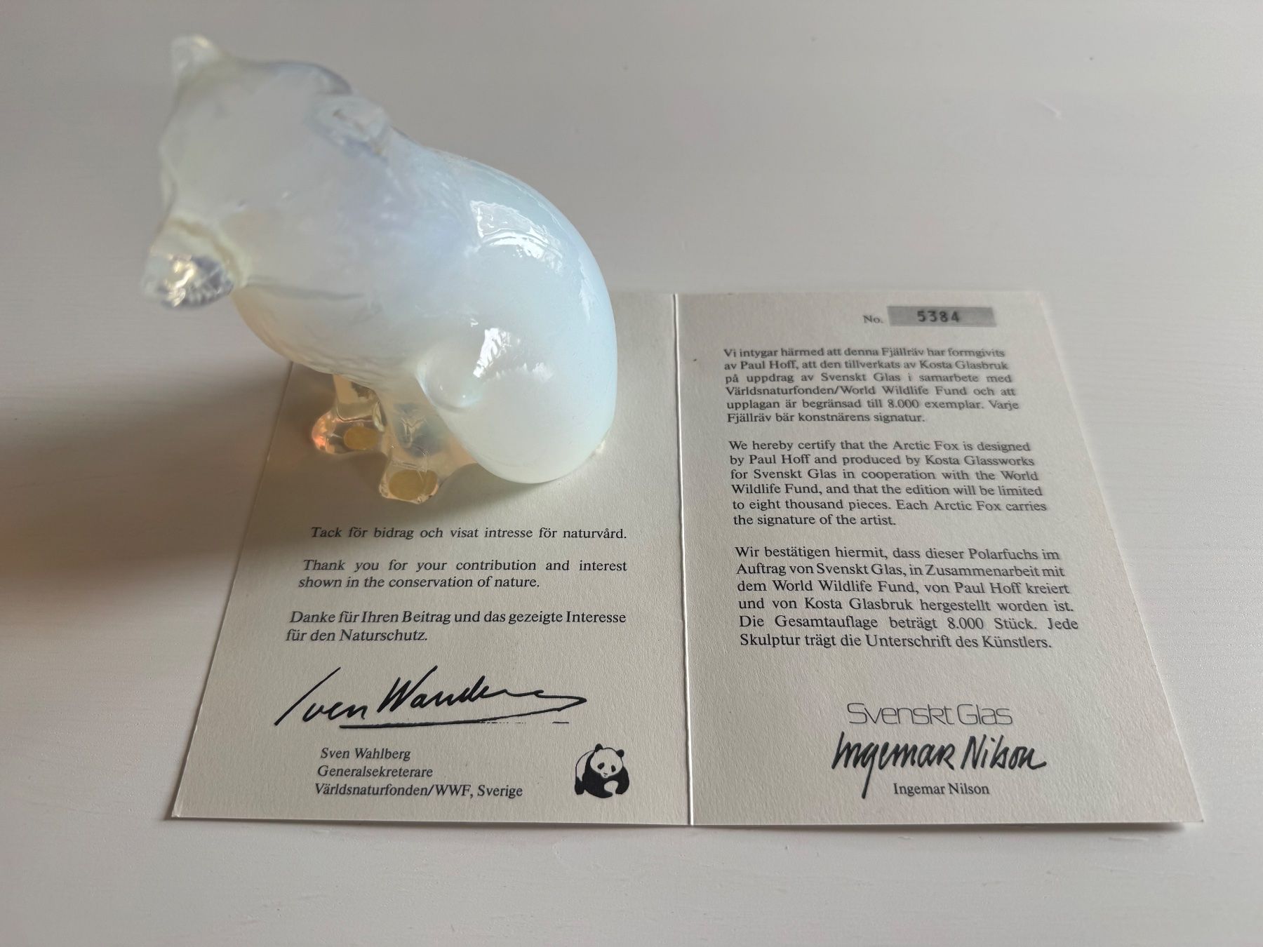 Kosta Boda Statuette: Polarfuchs WWF Nr. 5384 – Usato da golaten venduto da Hubas