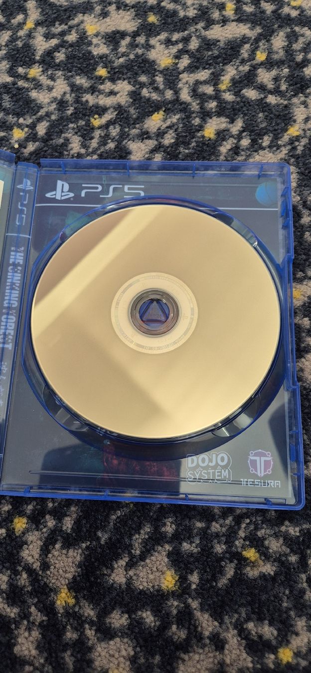 Giochi: PS5 Game - The Sinking Forest - Top Zustand! – Nuovo (secondo la descrizione) da Gossau SG venduto da fau_ypm5 2