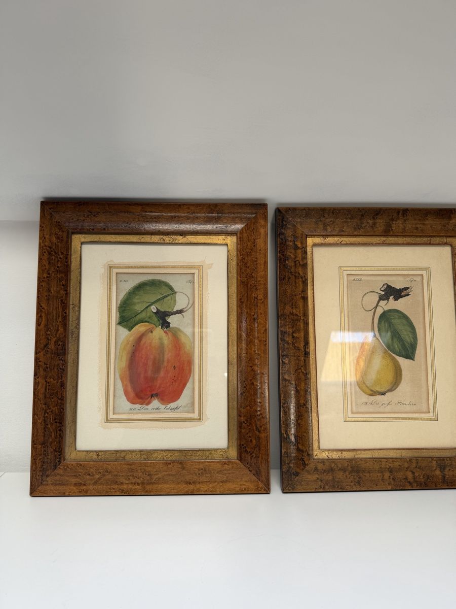 Dipinti: Framed Fruit Painting Apple – Usato da Muttenz venduto da c.car 3