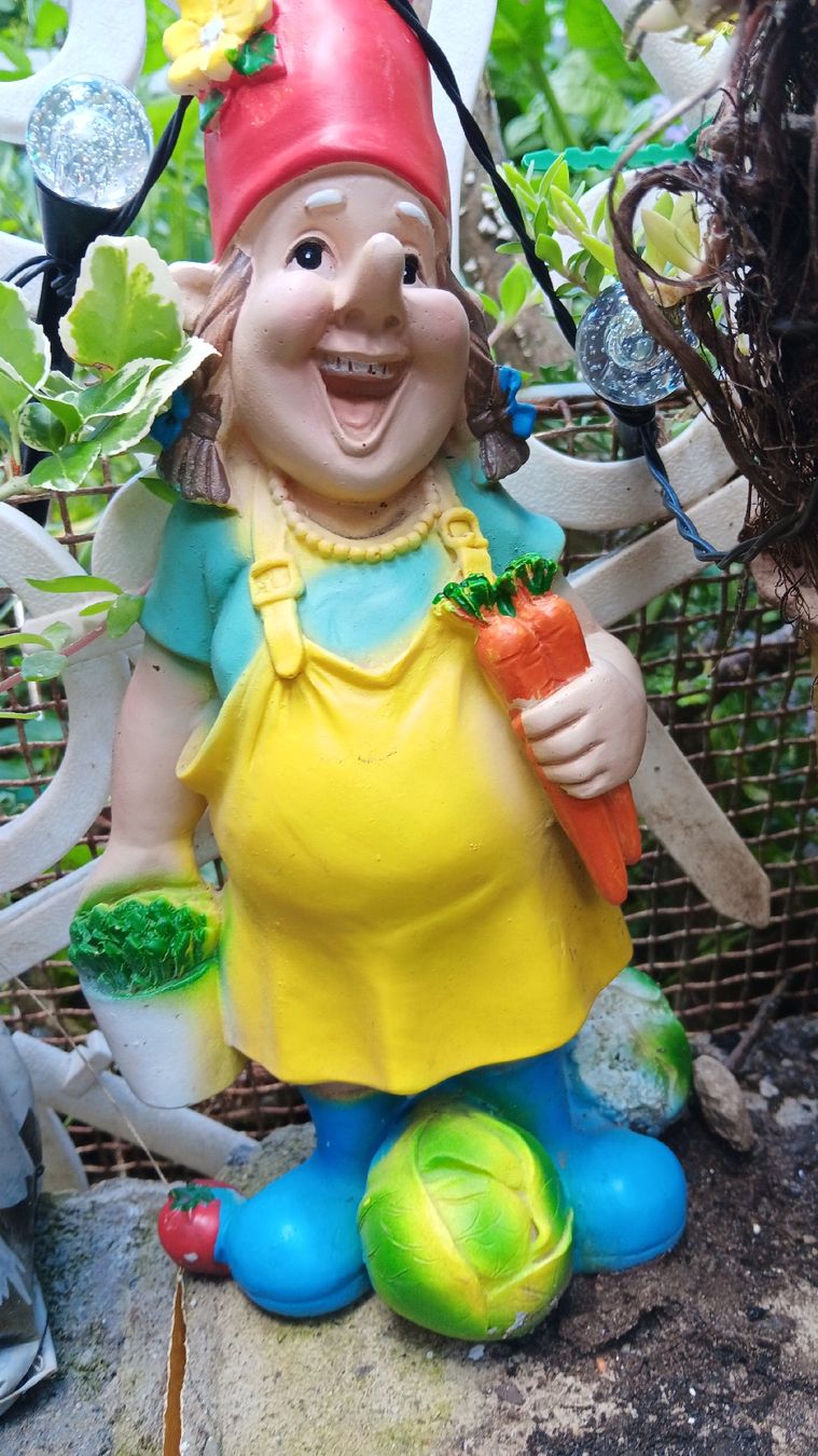 Tutte le decorazioni: Gnomo da giardino simpatico,  – Usato da Carena venduto da gra_yz7p 1