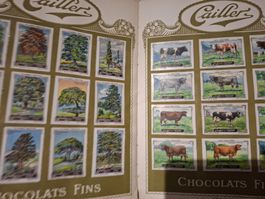 Peter Chocolats Fins Briefmarken Album 