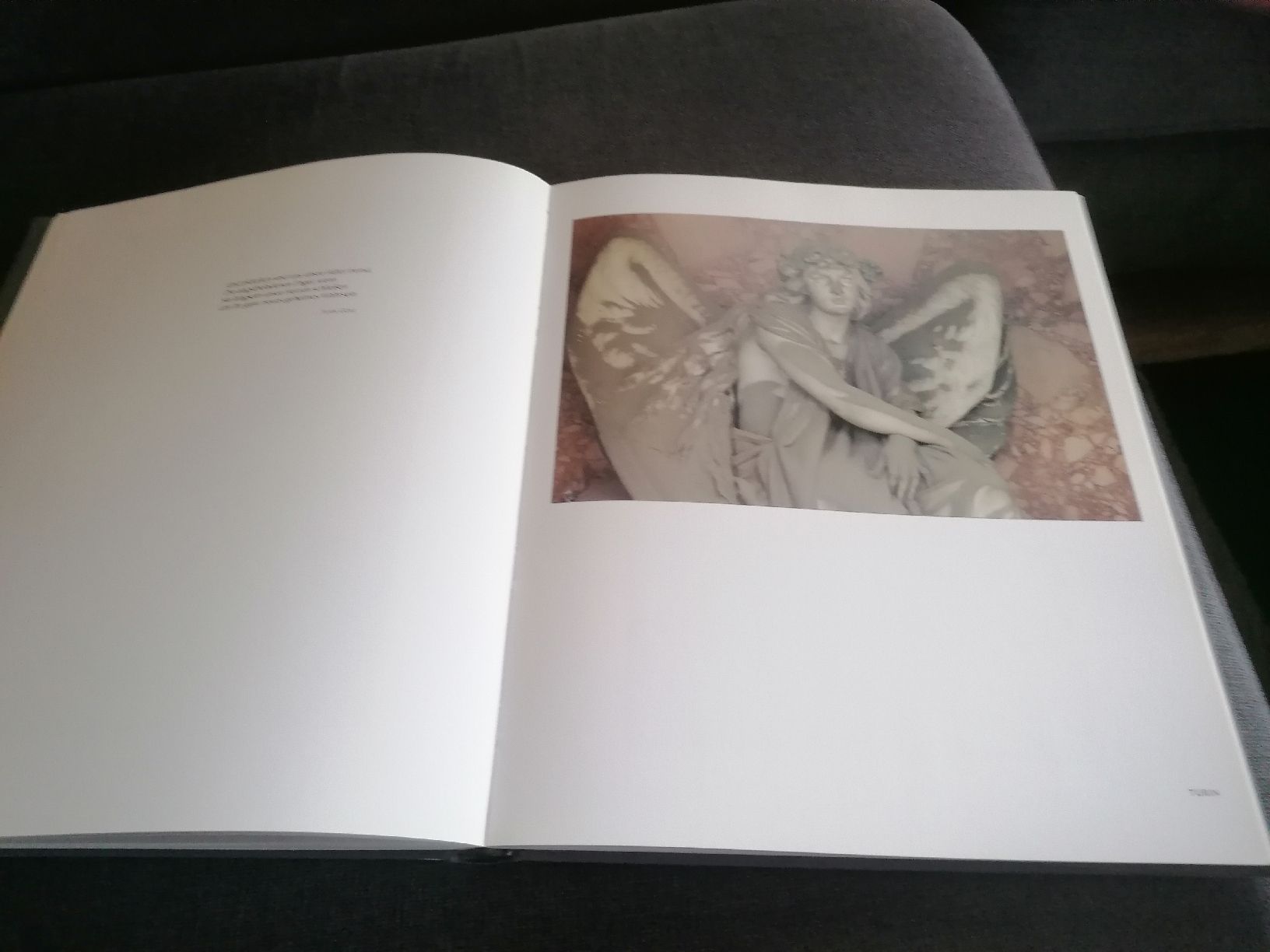 Libri: Aus Licht und Schatten Engel Bilder von Isolde Ohlbaum  – Usato da Brittnau venduto da Elefant7 4