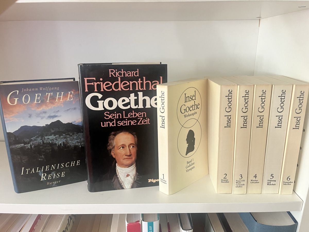 Libri: Büchersammlung Goethe – Usato da Zürich venduto da Nel19 1