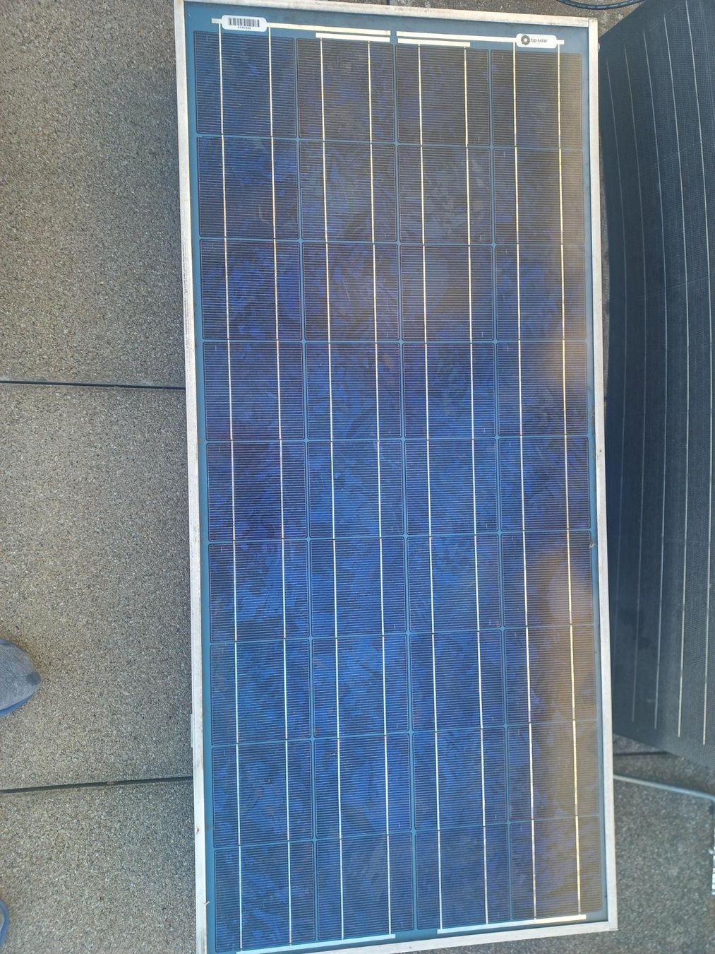 Dispositivi a energia solare: BP Solar Solarmodul BP365U, 65 W – Usato da Stein AG venduto da Mertkan92 1