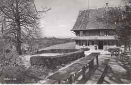 MENZINGEN Restaurant Gubel