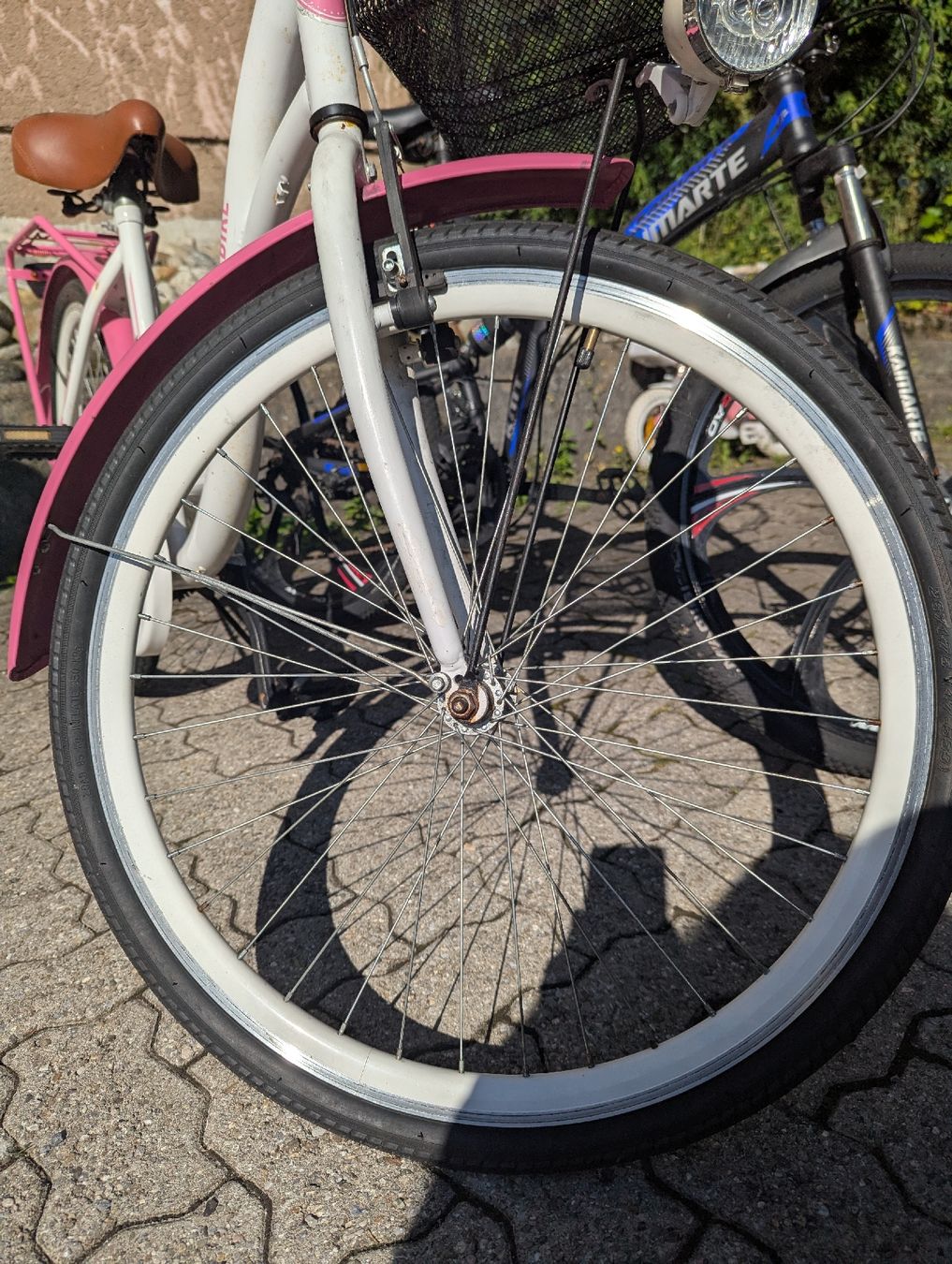 Biciclette: Frauen velo – Usato da Brienz BE venduto da bar_xf2d 6